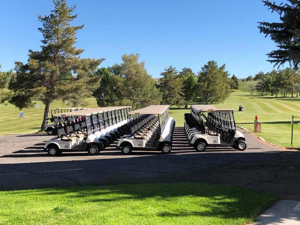 Rows of golf carts 