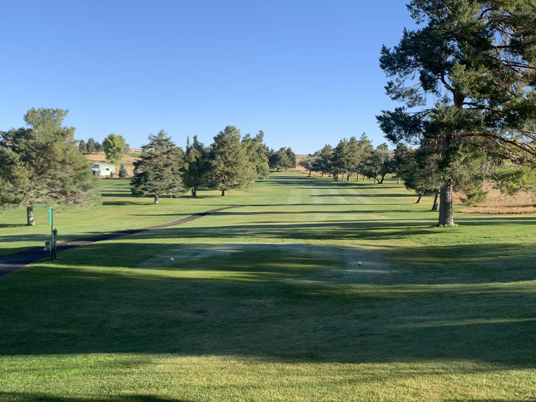 Golf course fairway with shadowy trees